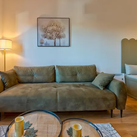 Mount Borovi 公寓 兹拉蒂博尔