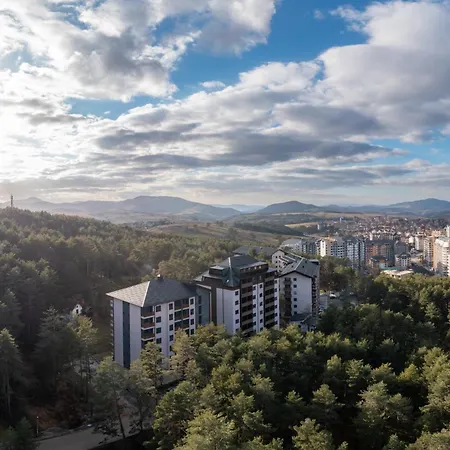 Mount Borovi 公寓 *